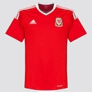 Wales Home 2016 - 2017